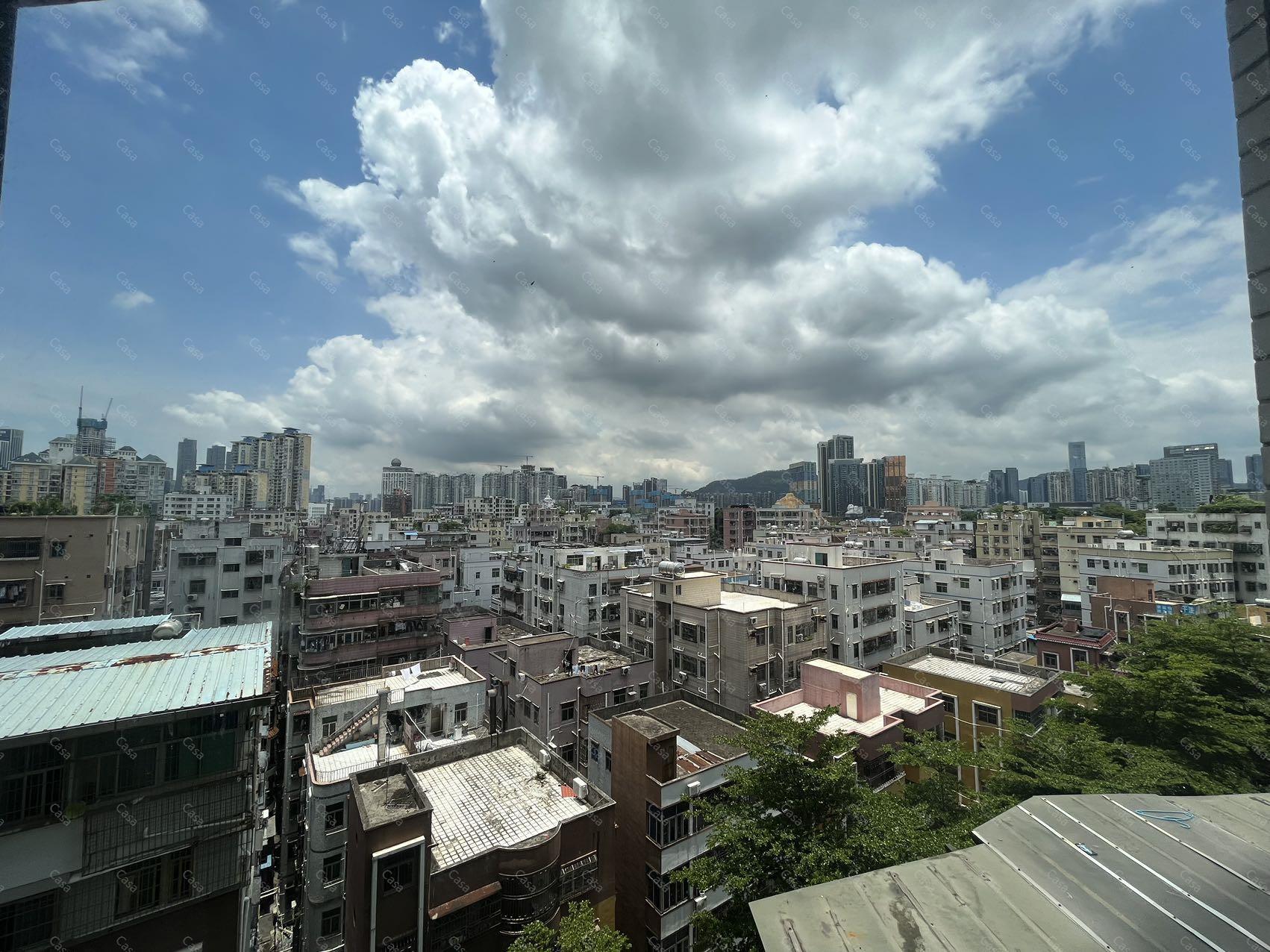 实拍图